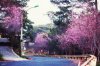 15036420_1741268346196740_4751071323836378088_n(1).jpg