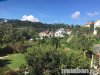 9e2dbed149fe464db73aa2dccdd23ba2.jpg