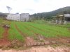 20170101_112006.jpg