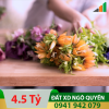 Ngô quyền 4.5 ty.png
