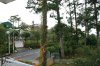 - Dalat House_03.jpg