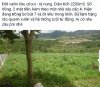 2017-05-17 17.21.10.jpg