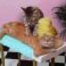 Ship.Hang.My
