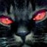 BlackCat